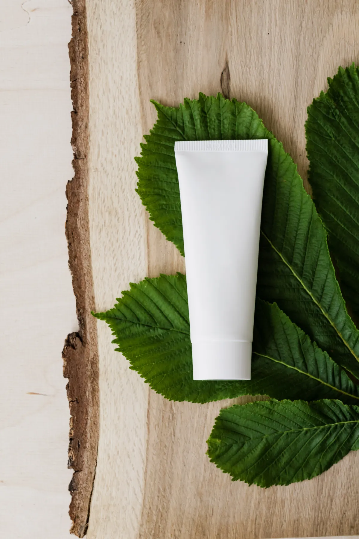 Baume à l’aloe vera